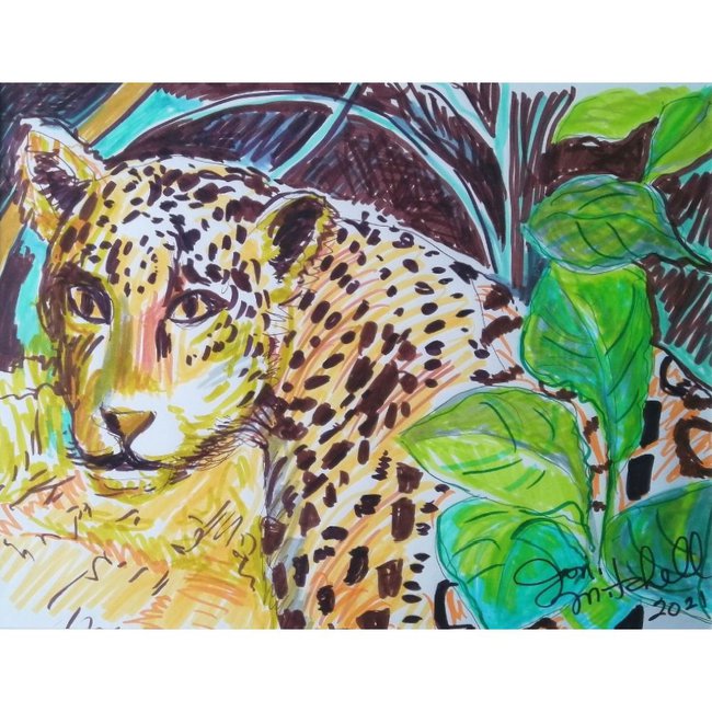 Brazilian Jaguar